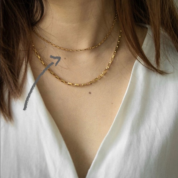 Ani Sofia Jewelry - stainless steel gold chunky box chain necklace